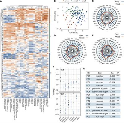 Patterns of Volatile Diversity Yield Insights Into the Genetics and Biochemistry of the Date Palm Fruit Volatilome